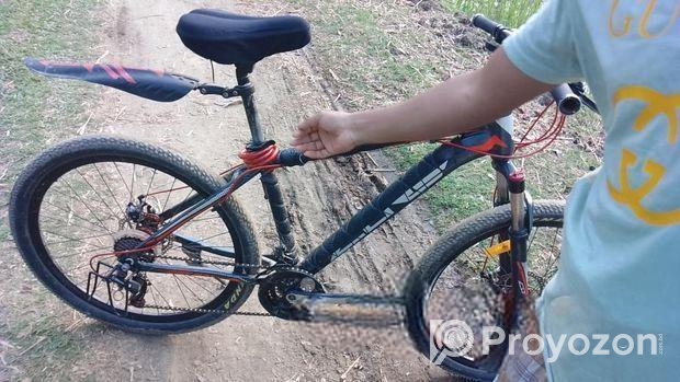 Duranta Bicycle for sale