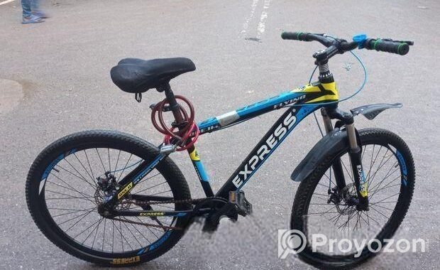 Express Bicycle for sale