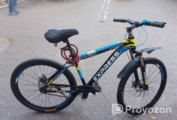 Express Bicycle for sale