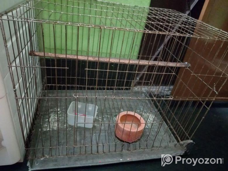 Bird Cage SelL