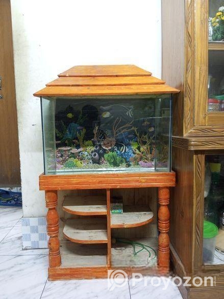 একুরিয়াম