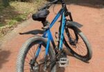 Cycle PHOENIX HAROD 02