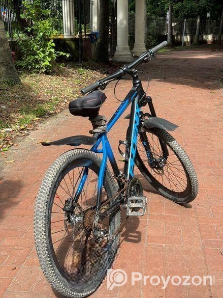 Cycle PHOENIX HAROD 02