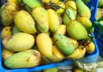 কাটিমন আম