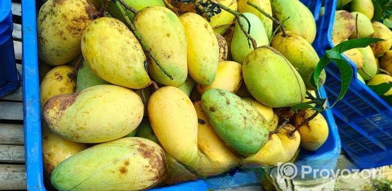কাটিমন আম