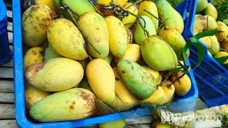 কাটিমন আম