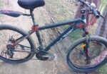 Duranta Bicycle for sale
