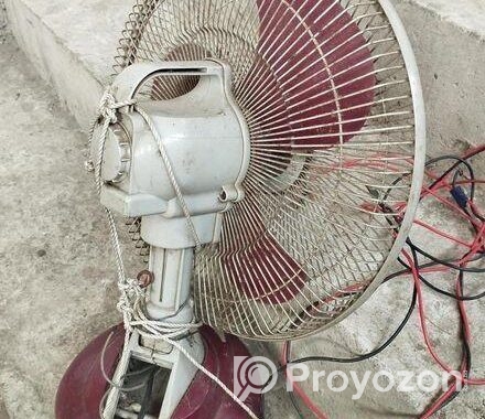 খুব ভালো একটা ফেন