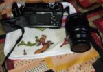 Sony a7c