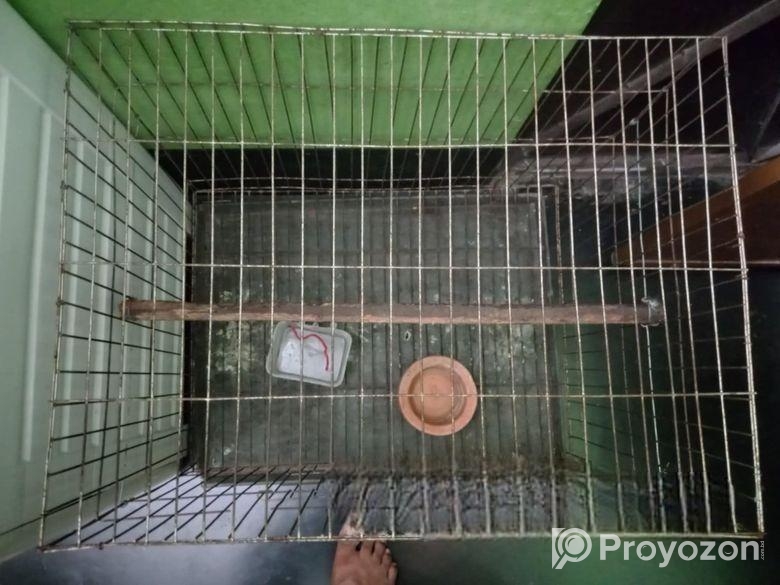 Bird Cage SelL