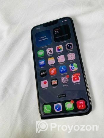 Apple iPhone 13 Pro Max (Used)