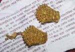 সোনার কানের দুল