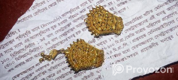সোনার কানের দুল