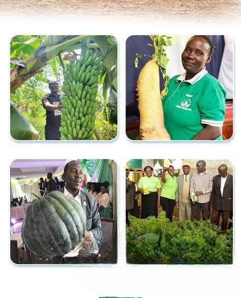 Nutriplant Organic Plus Fertilizer 100ml Amino Aci