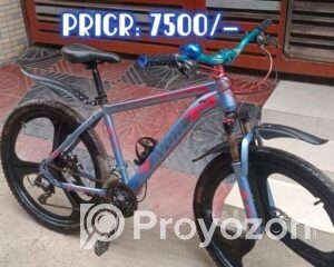 fitted-15_2025-08-05_16-47-42