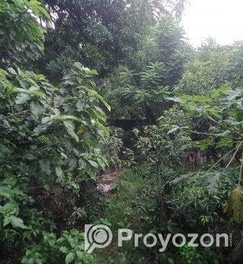 জমি বিক্রি হবে