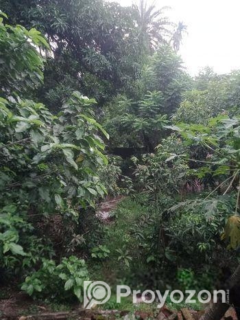 জমি বিক্রি হবে