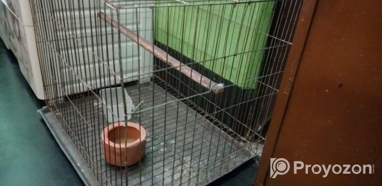 Bird Cage SelL
