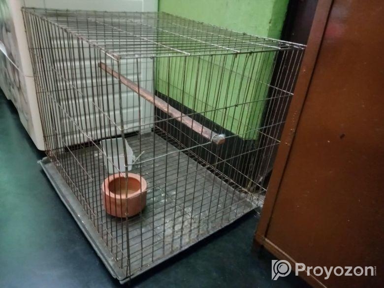 Bird Cage SelL