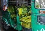 Cng Sell