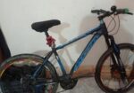 Phonix gear cycle for sale