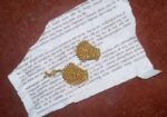 সোনার কানের দুল