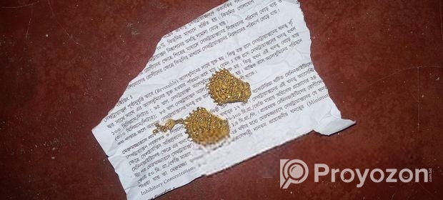 সোনার কানের দুল