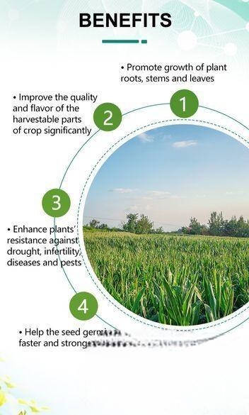 Nutriplant Organic Plus Fertilizer 100ml Amino Aci