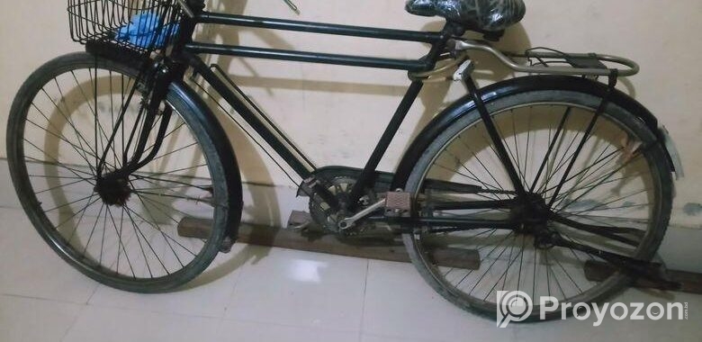 Phoenix Bicycle for sale