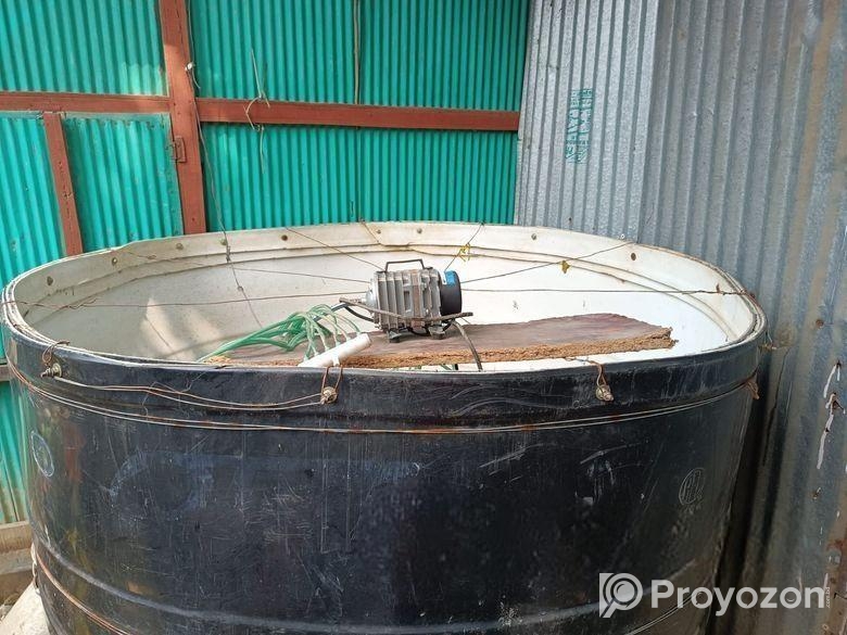 Fishing Bioflok (বায়োফ্লক) (ট্যাংকে মাছের চাষ)