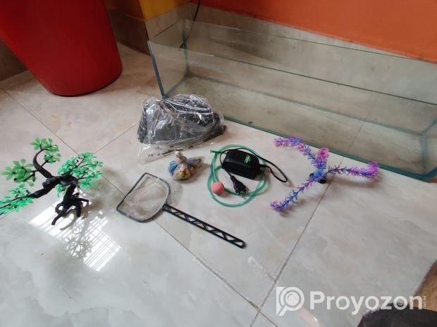 এ্যাকুরিয়াম ও মাছ