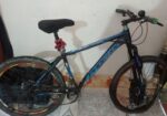 Phonix gear cycle for sale