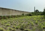 60000 sqft Under construction warehouse shed atDhk