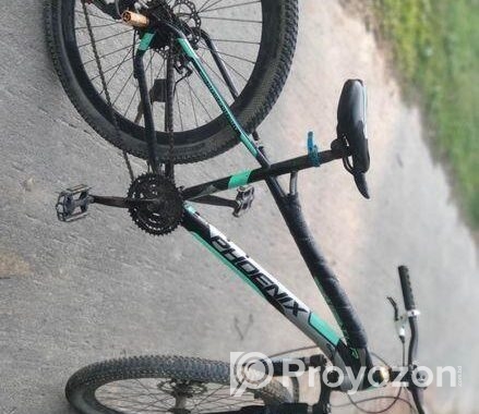Phoenix Bicycle for sale