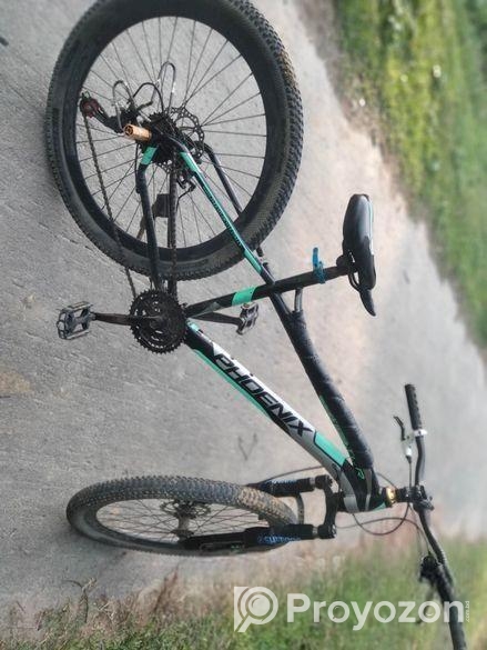 Phoenix Bicycle for sale