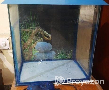 Aquarium setup