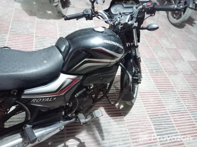 Runner Royal Plus . 2019