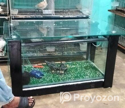 লট পাখি খাচা কবুতর
