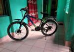Phoenix Bicycle for sale