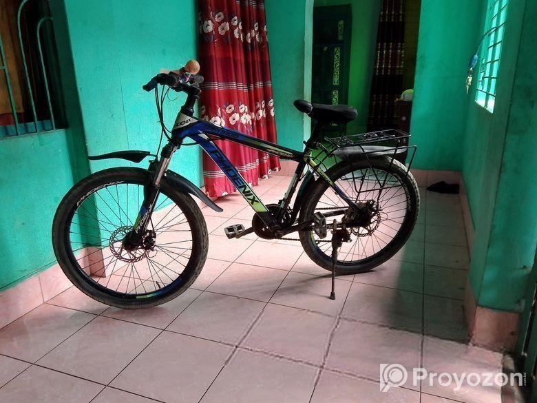 Phoenix Bicycle for sale