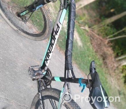 Phoenix Bicycle for sale