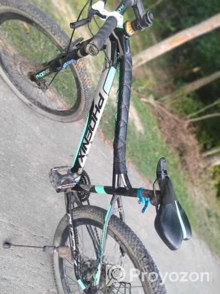 Phoenix Bicycle for sale