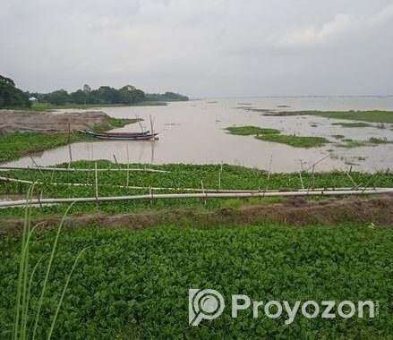 মেঘনার পাড়ে ৮০ বিঘা নদীভিউ জমি — রাজকীয় প্রজেক্টের