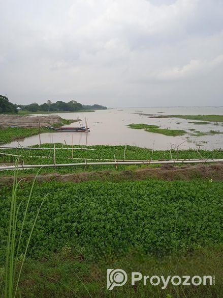 মেঘনার পাড়ে ৮০ বিঘা নদীভিউ জমি — রাজকীয় প্রজেক্টের