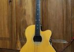 TGM acoustic guitar