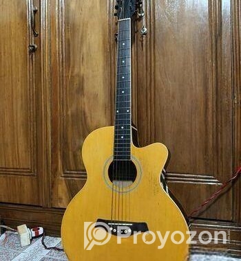 TGM acoustic guitar