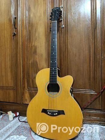 TGM acoustic guitar