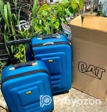 Cat Travel Bag ( ক্যাট ট্রাভেল ব্যাগ)