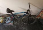 Seventy One cycle