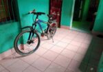 Phoenix Bicycle for sale